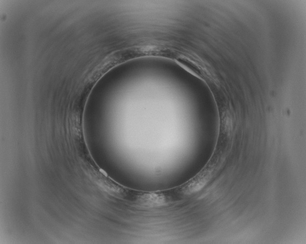 X0000071960421200607141439