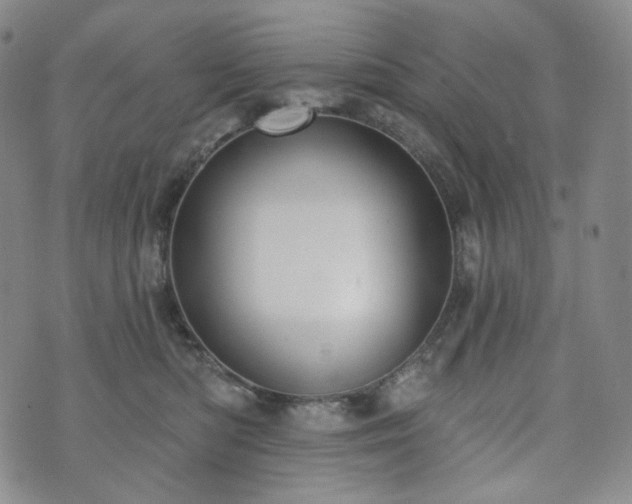 X0000071960422200607141439