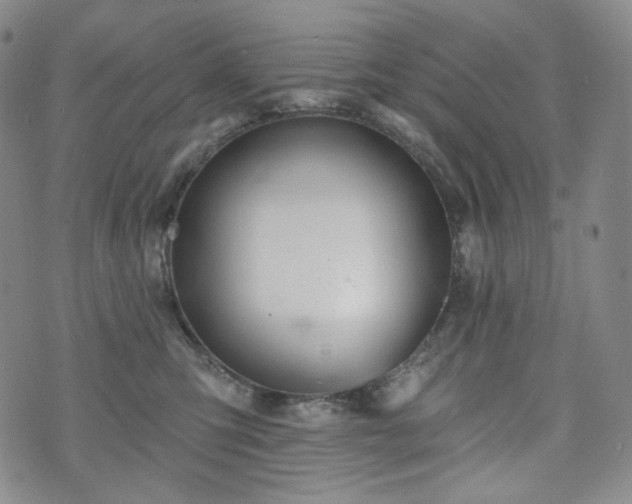 X0000071960423200607141439