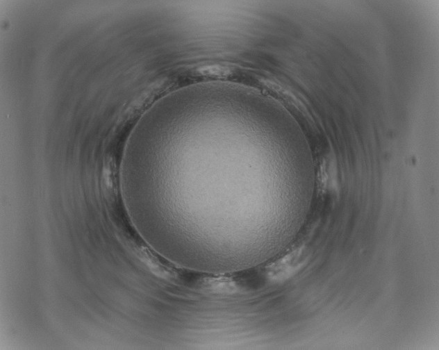 X0000071960424200607141439