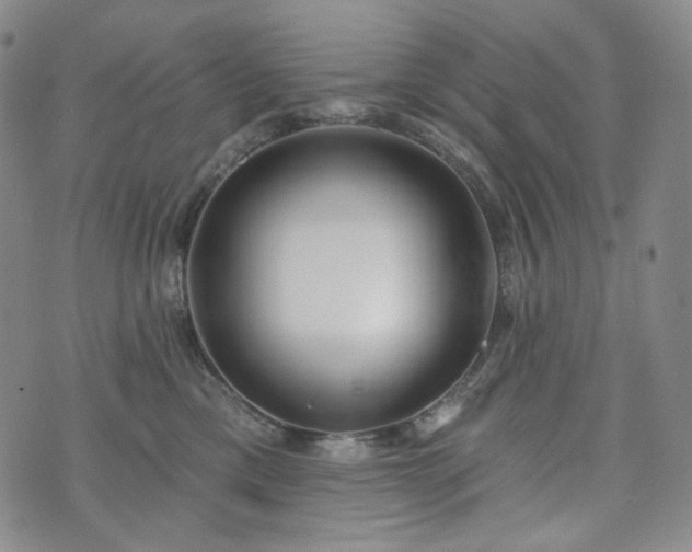 X0000071960425200607141439