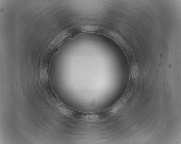 X0000071960426200607141439