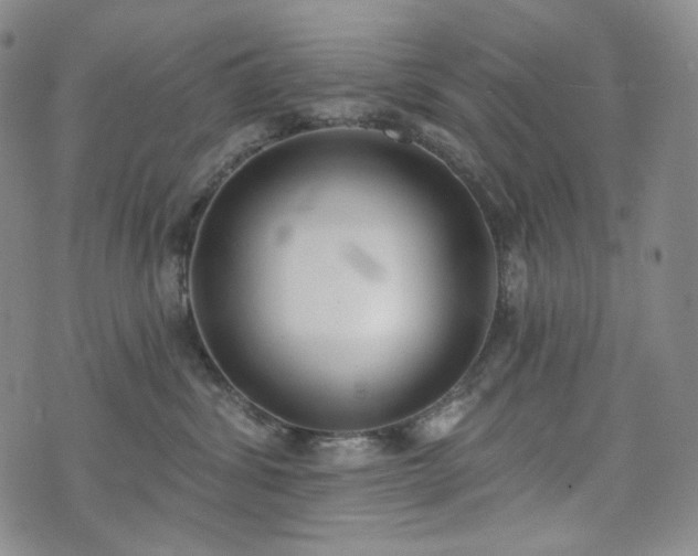 X0000071960428200607141439