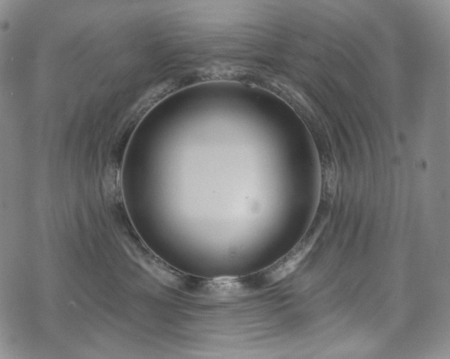 X0000071960429200607141439