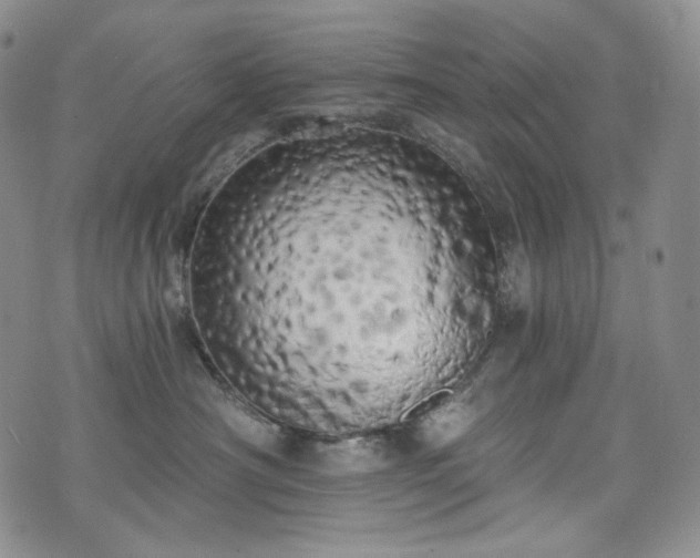 X0000071960430200607141439