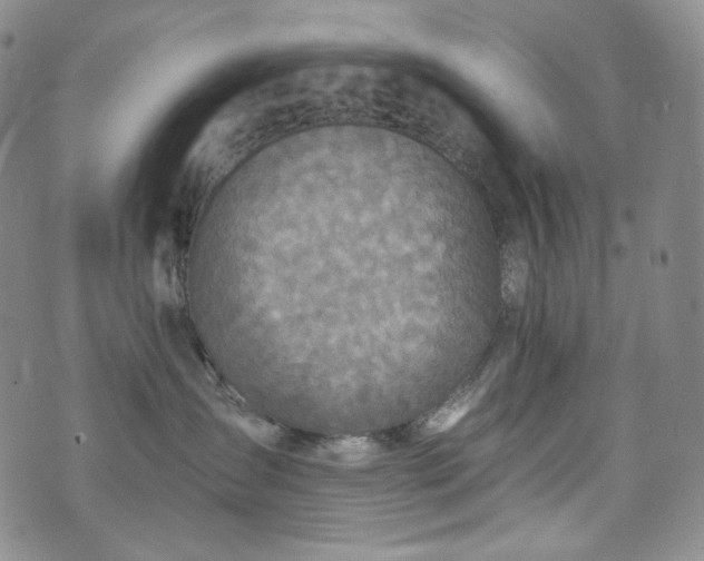 X0000071960431200607141439