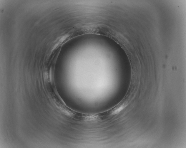 X0000071960432200607141439