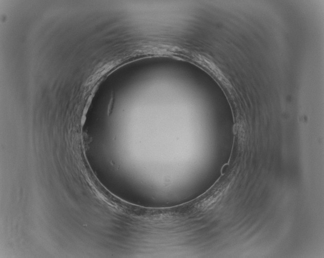 X0000071960433200607141438