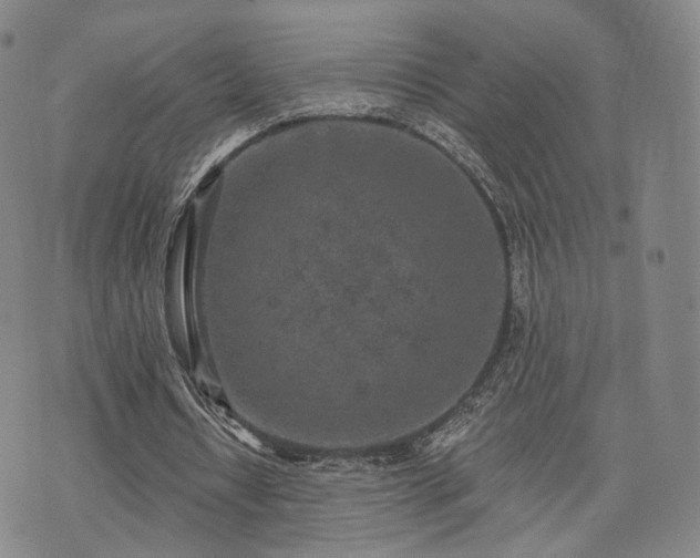 X0000071960434200607141438