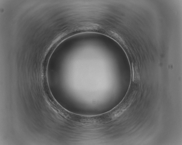 X0000071960435200607141438