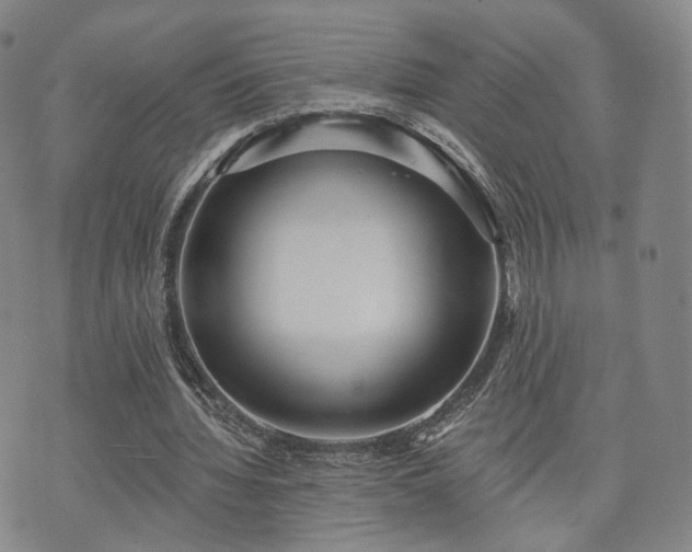 X0000071960436200607141438