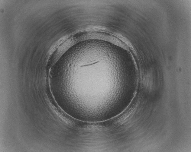 X0000071960437200607141438