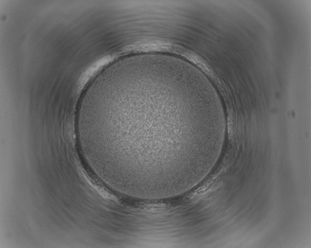 X0000071960438200607141438