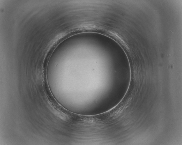 X0000071960439200607141438