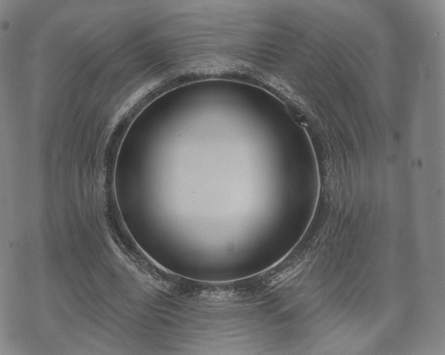 X0000071960440200607141438