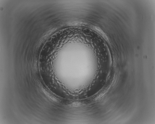 X0000071960441200607141438