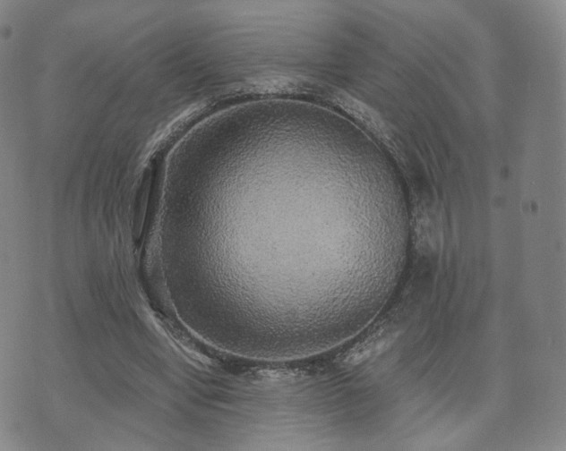 X0000071960442200607141438