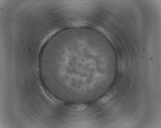 X0000071960443200607141438