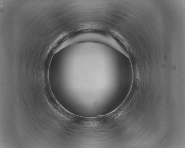 X0000071960444200607141438