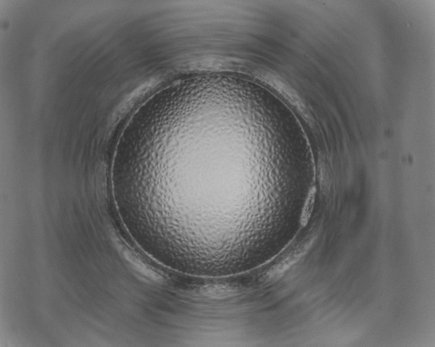 X0000071960445200607141438