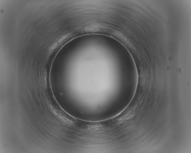 X0000071960446200607141438