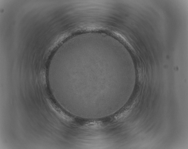 X0000071960447200607141438