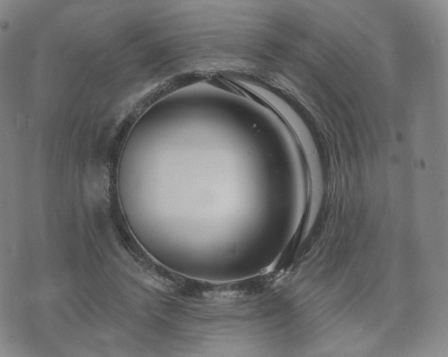 X0000071960448200607141438