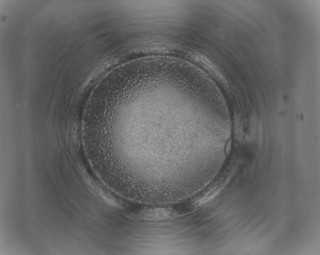 X0000071960449200607141438