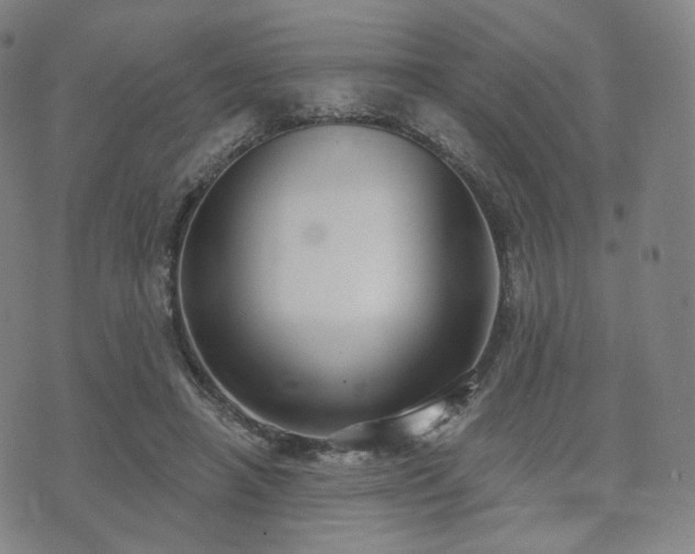 X0000071960450200607141438