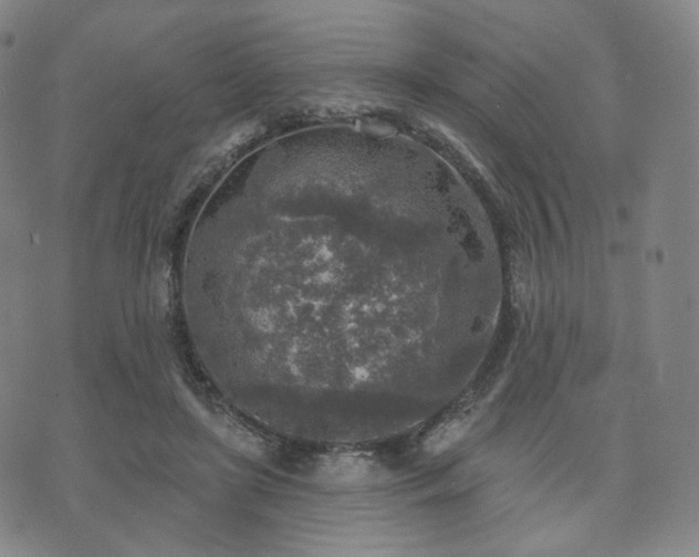 X0000071960451200607141438