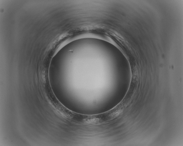 X0000071960452200607141438