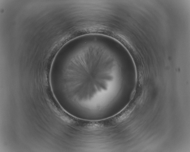 X0000071960453200607141438