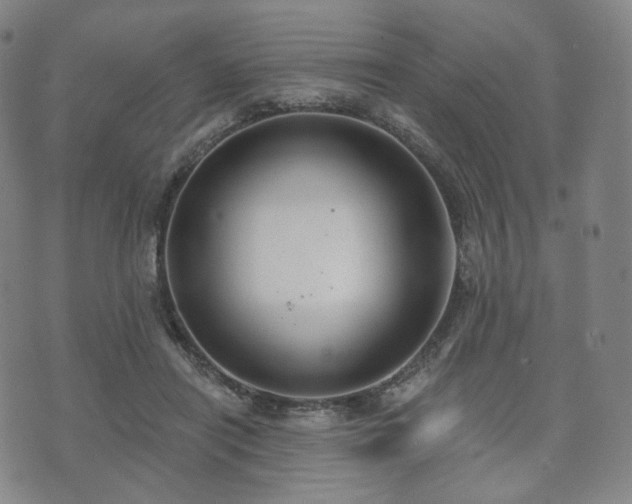 X0000071960454200607141438