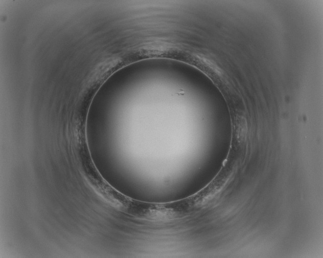 X0000071960455200607141439