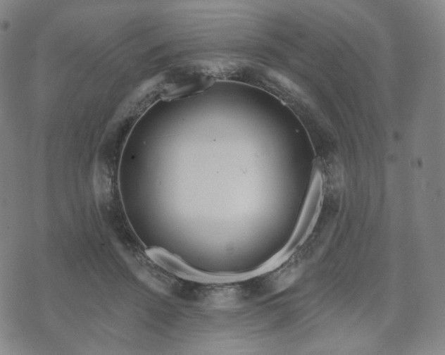 X0000071960456200607141439