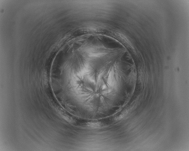 X0000071960457200607141439