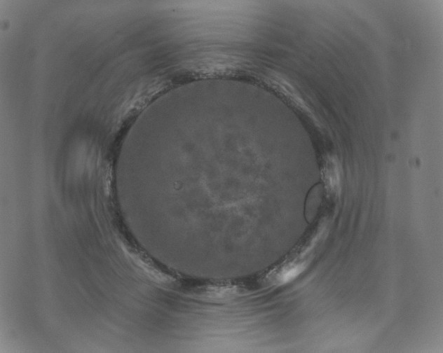 X0000071960458200607141439