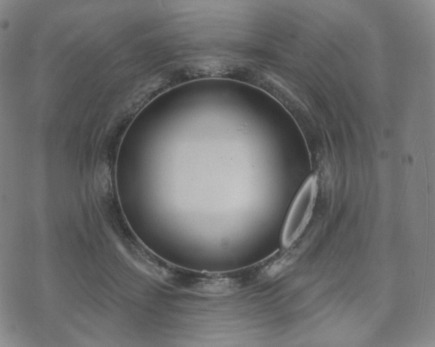 X0000071960459200607141439