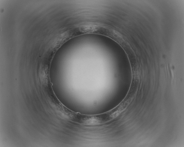 X0000071960460200607141439