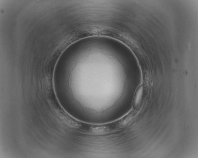 X0000071960461200607141439