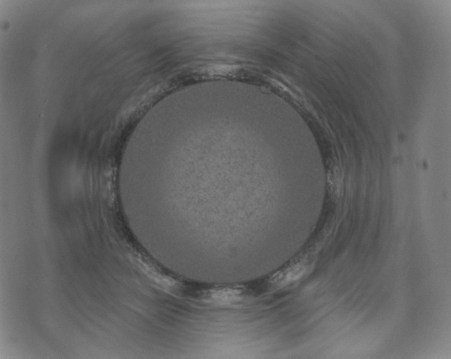 X0000071960462200607141439