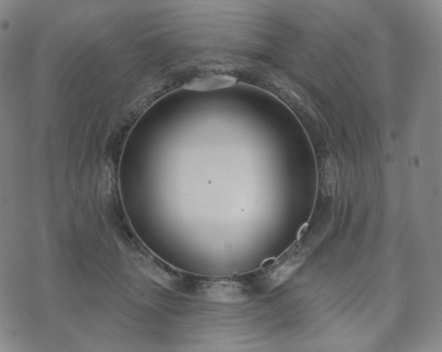 X0000071960463200607141439