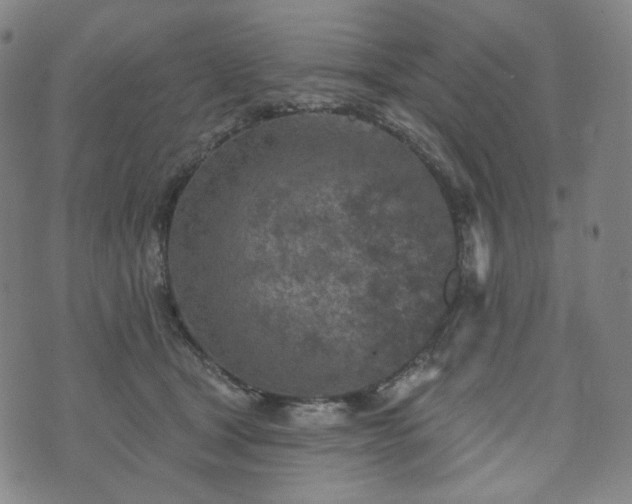 X0000071960465200607141439