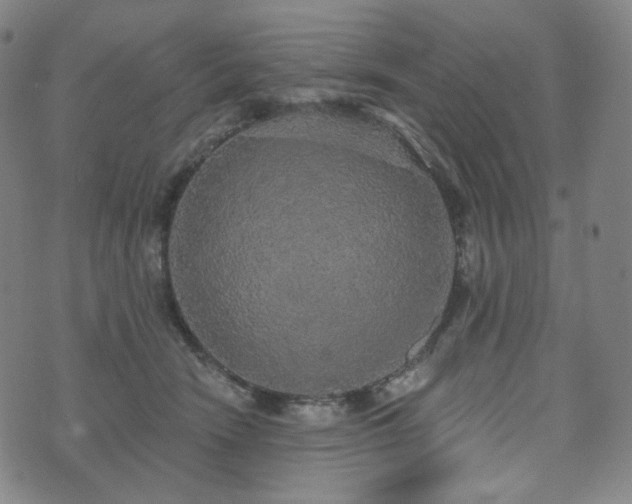 X0000071960466200607141439