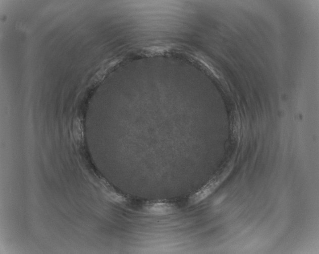 X0000071960467200607141439