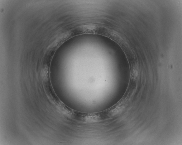 X0000071960468200607141439