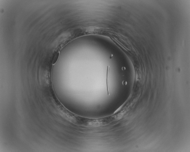 X0000071960470200607141439