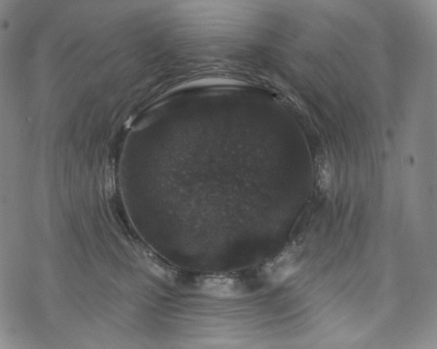 X0000071960471200607141439