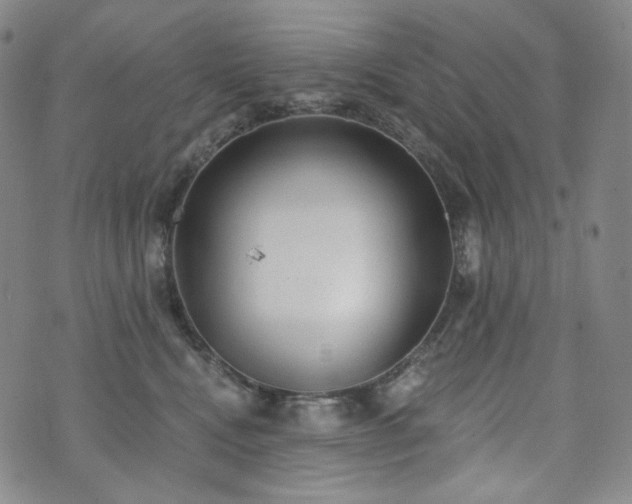 X0000071960472200607141439