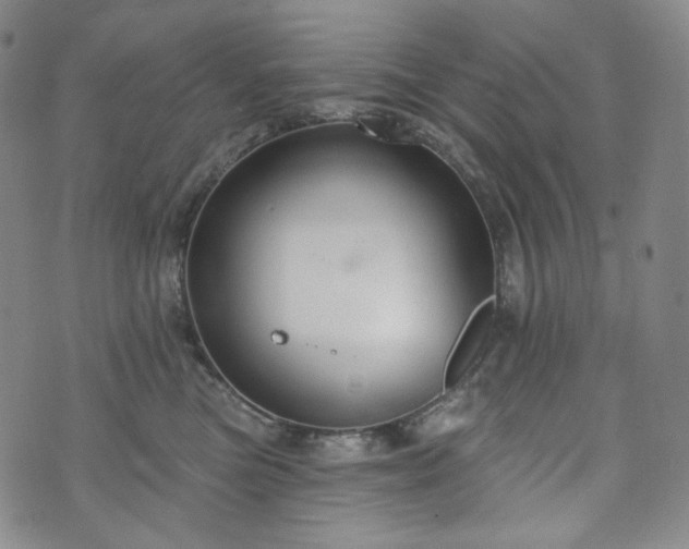 X0000071960473200607141439